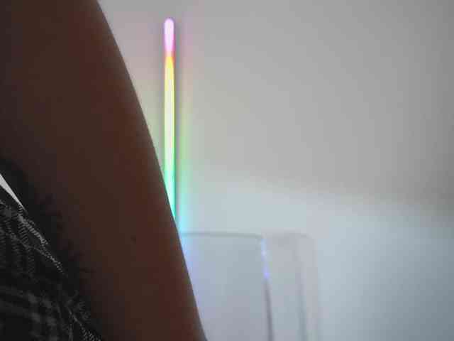new1dee webcam