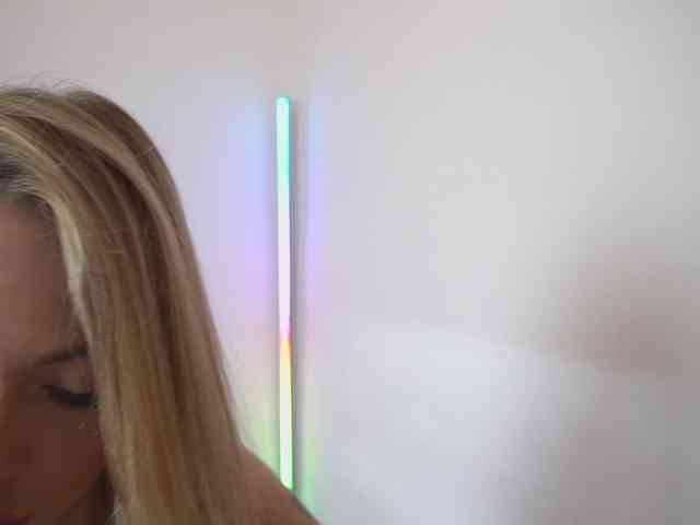 new1dee webcam