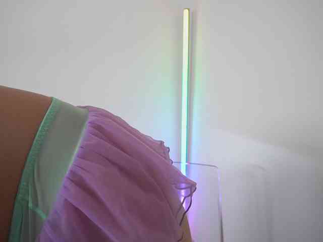 new1dee webcam