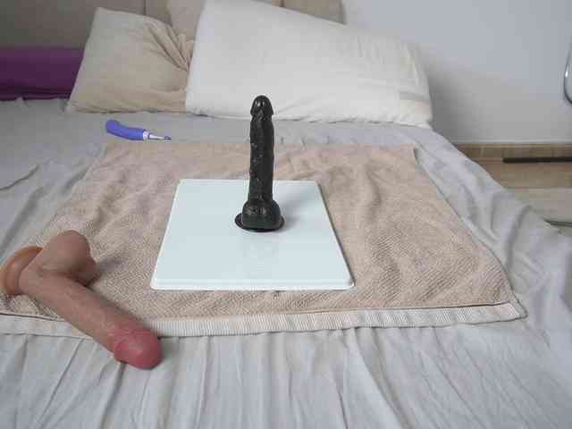 new1dee webcam