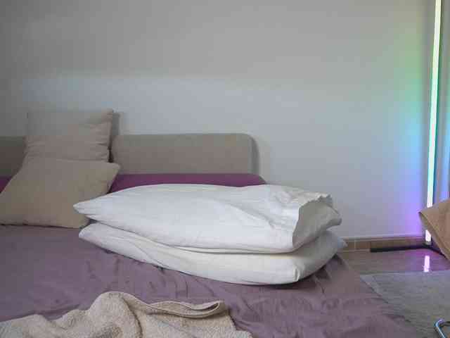 new1dee webcam