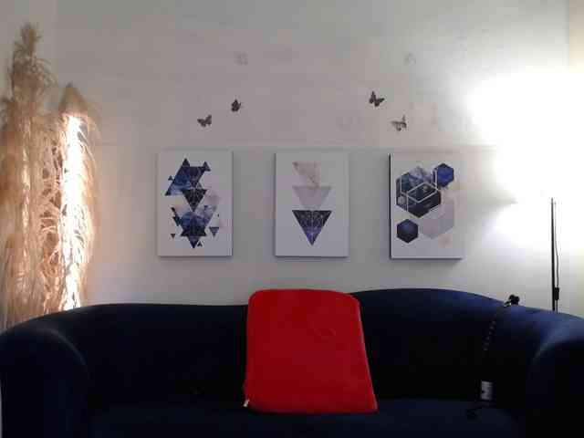 SlaveCuca webcam