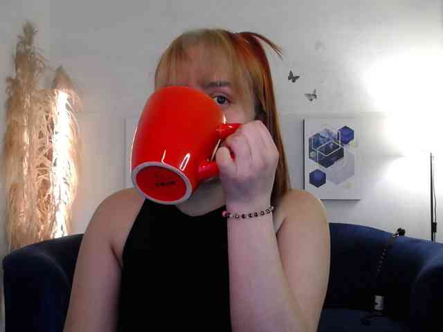 SlaveCuca webcam