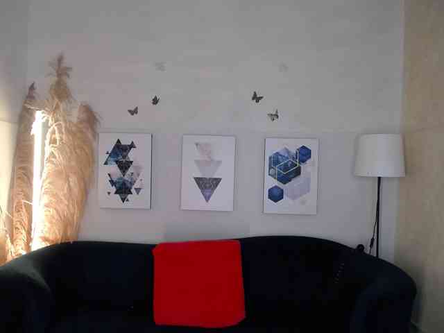 SlaveCuca webcam