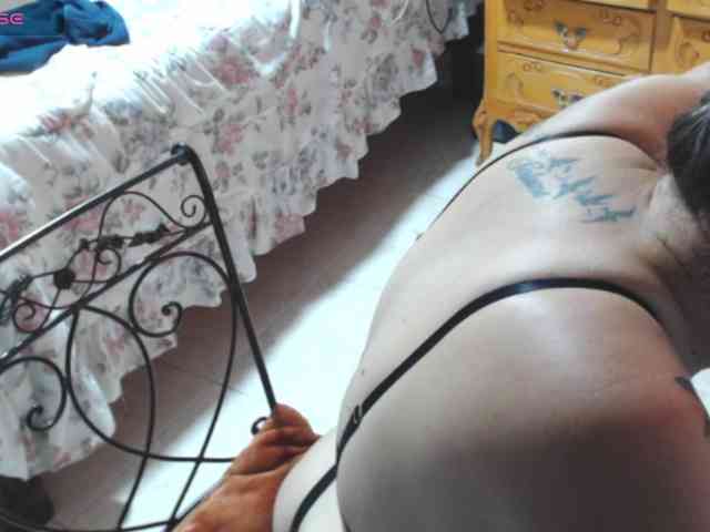 paloma12 webcam