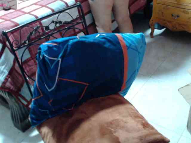 paloma12 webcam