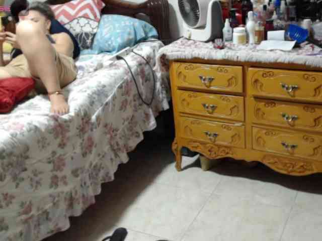 paloma12 webcam