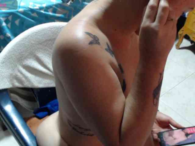 paloma12 webcam