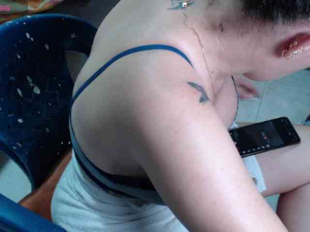 paloma12 webcam