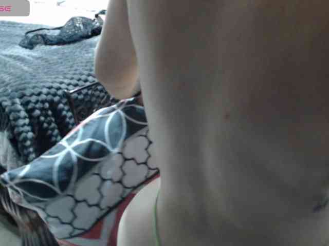 paloma12 webcam
