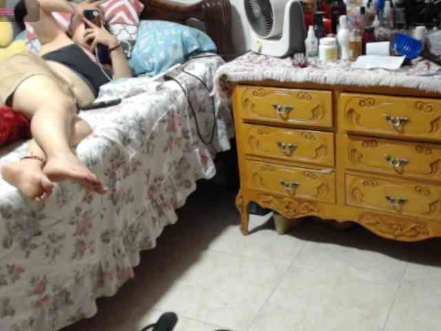 paloma12 webcam