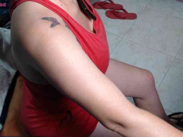 paloma12 webcam