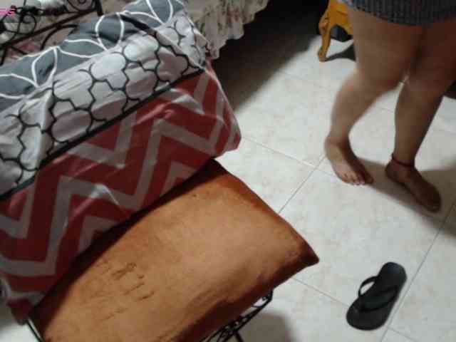 paloma12 webcam