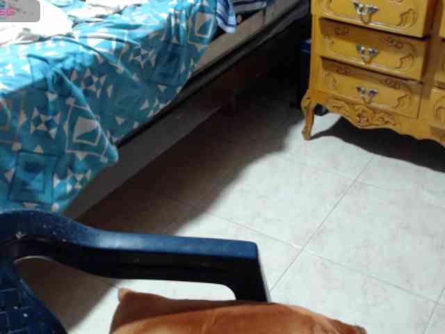 paloma12 webcam