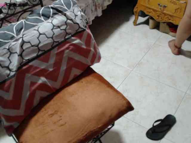 paloma12 webcam