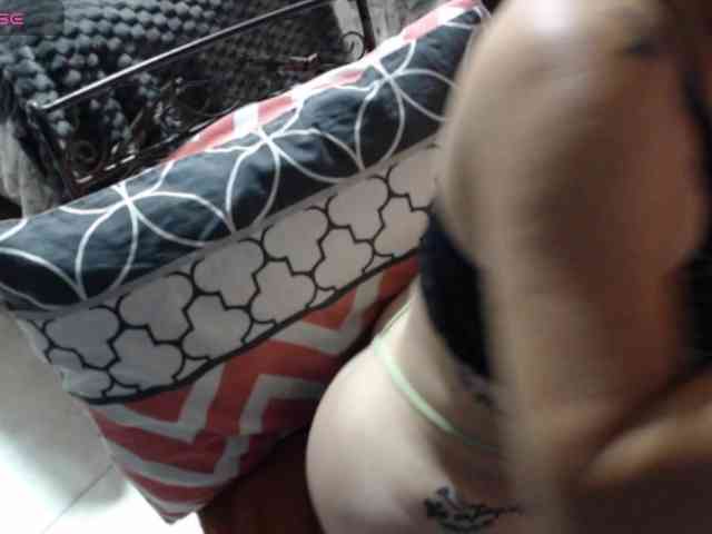 paloma12 webcam