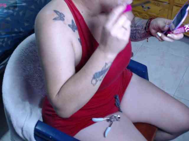 paloma12 webcam