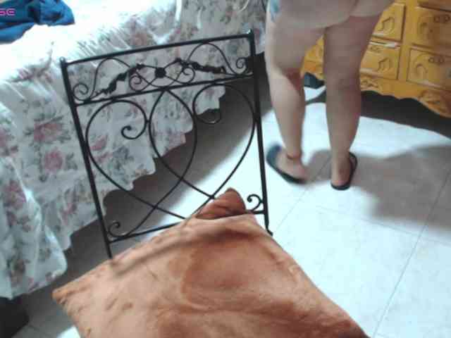 paloma12 webcam