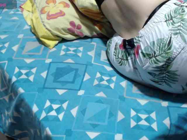 paloma12 webcam