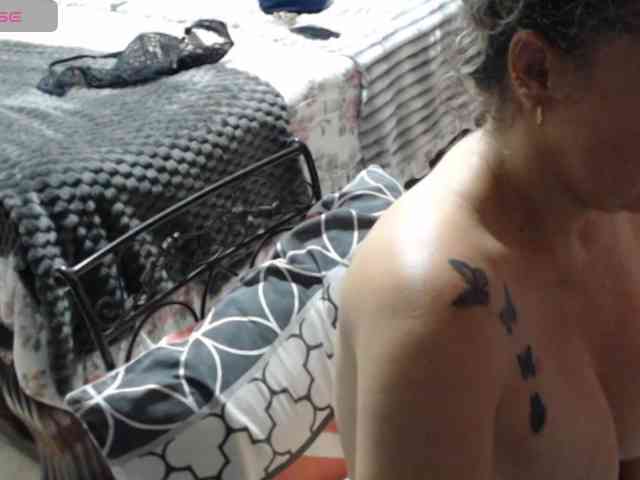 paloma12 webcam