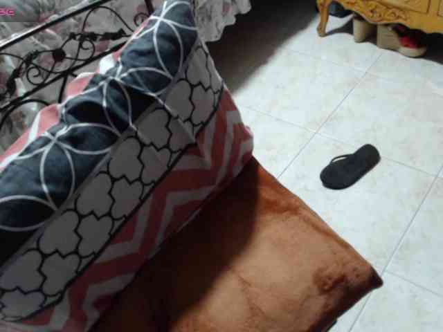 paloma12 webcam