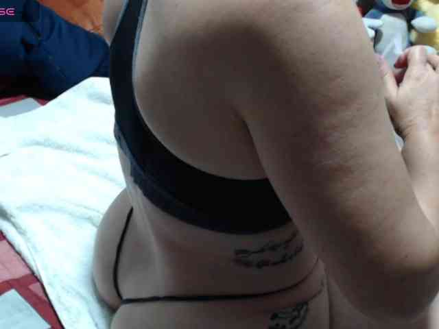 paloma12 webcam