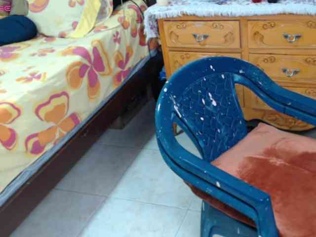 paloma12 webcam