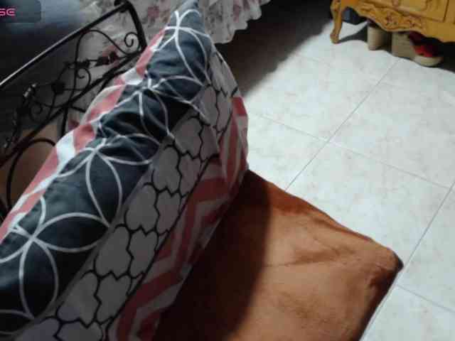paloma12 webcam