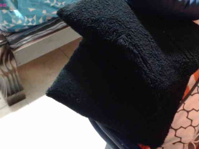 paloma12 webcam