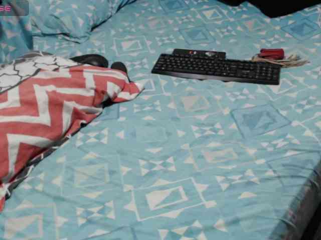 paloma12 webcam