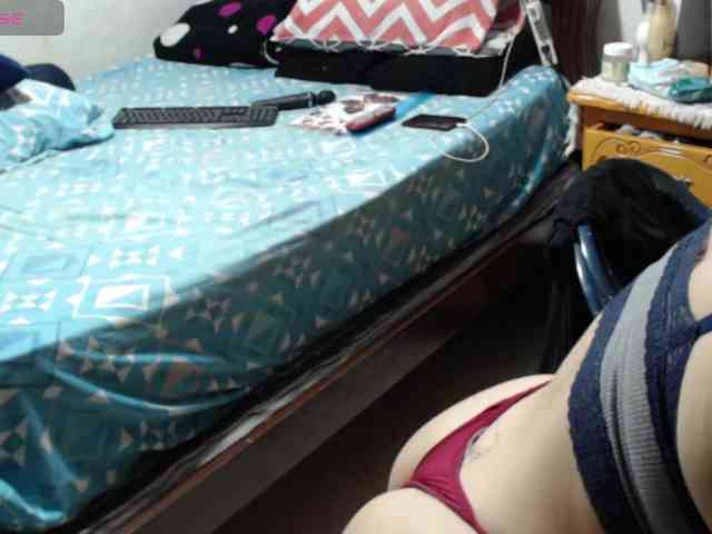 paloma12 webcam