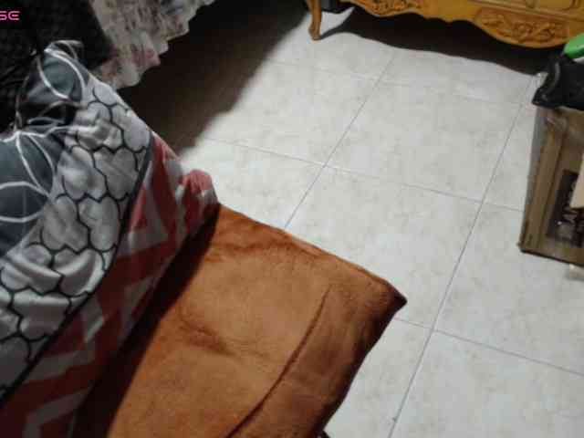 paloma12 webcam