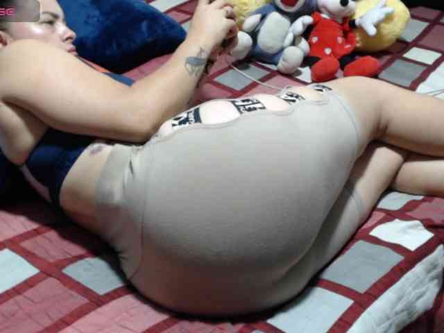 paloma12 webcam