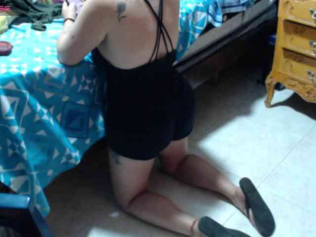 paloma12 webcam
