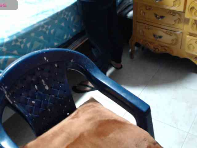 paloma12 webcam