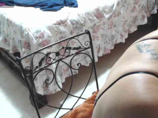 paloma12 webcam