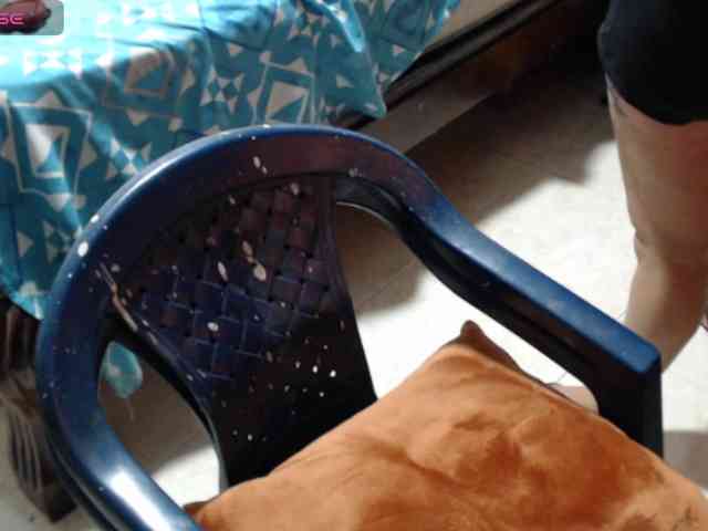 paloma12 webcam