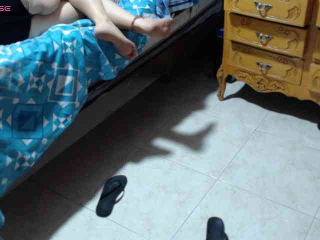 paloma12 webcam