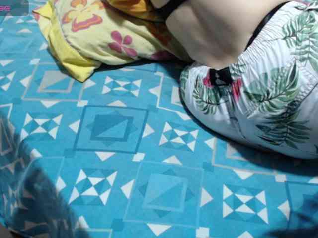 paloma12 webcam