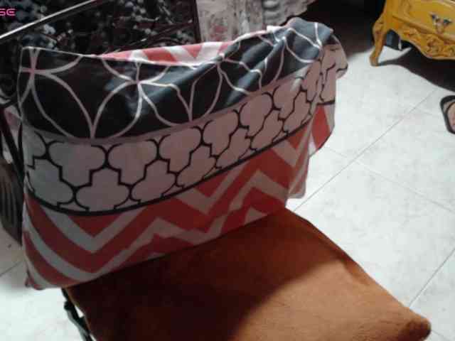 paloma12 webcam