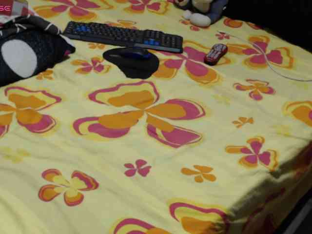 paloma12 webcam