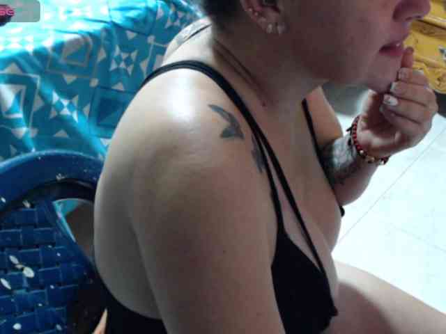 paloma12 webcam