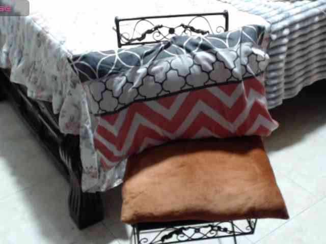 paloma12 webcam