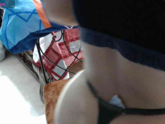 paloma12 webcam
