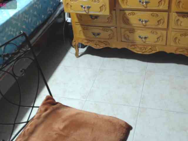 paloma12 webcam