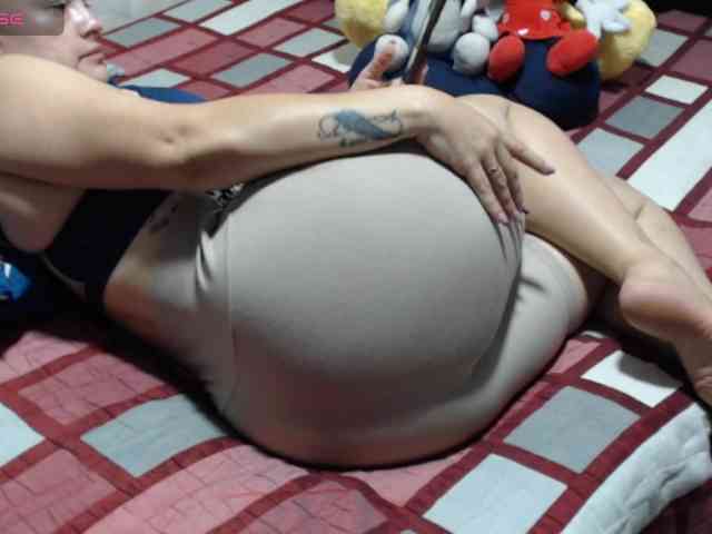 paloma12 webcam