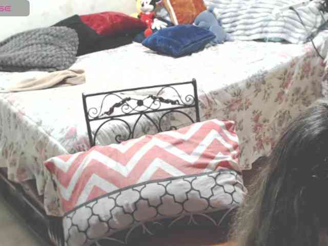 paloma12 webcam