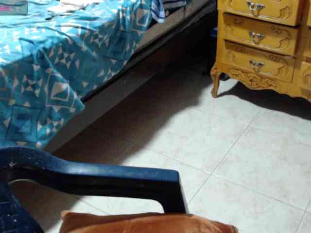 paloma12 webcam