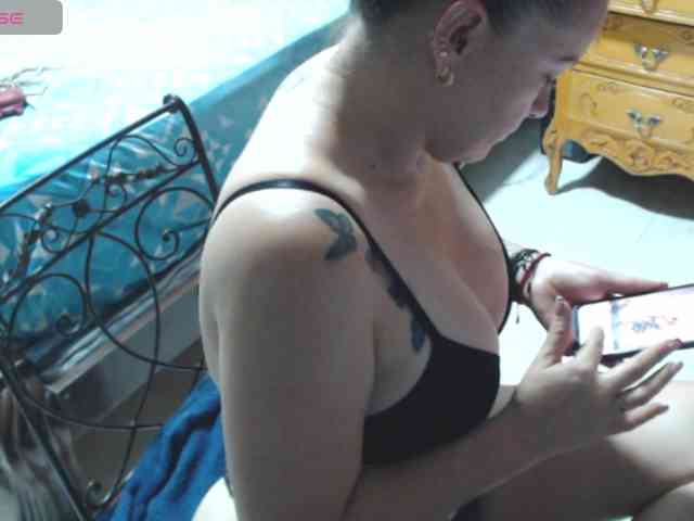paloma12 webcam