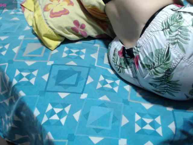 paloma12 webcam